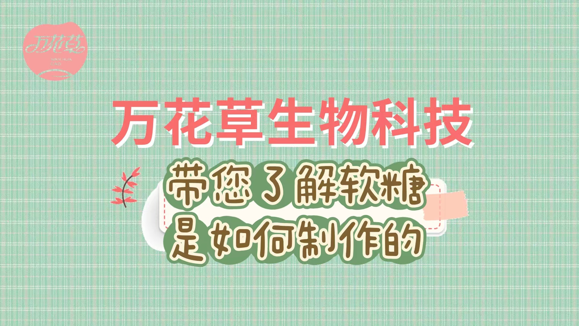 軟糖代加工生產(chǎn)工藝流程，帶您了解糖果是如何制作的