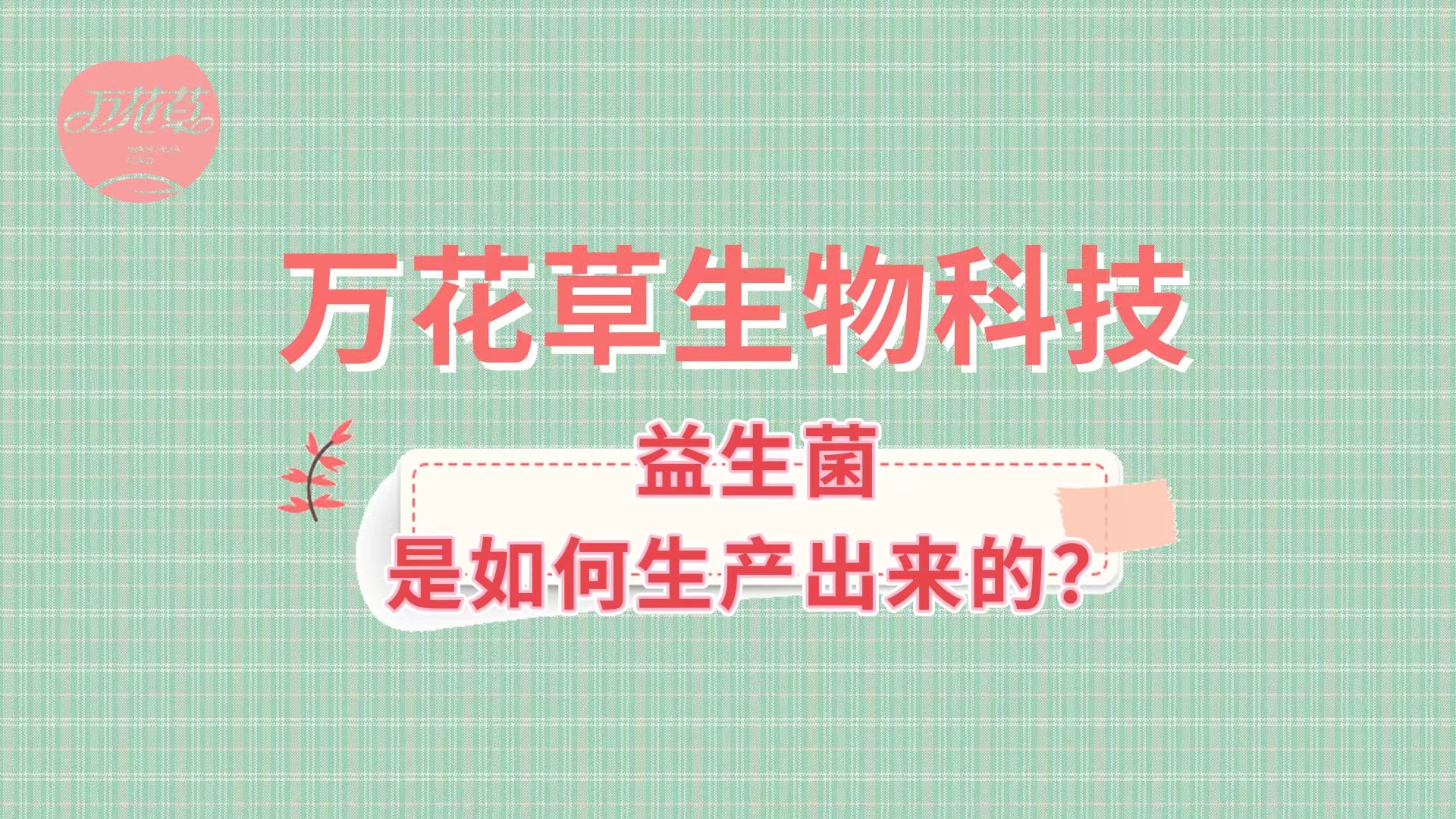 帶您了解益生菌是如何生產(chǎn)出來的,好的廠家哪里找？