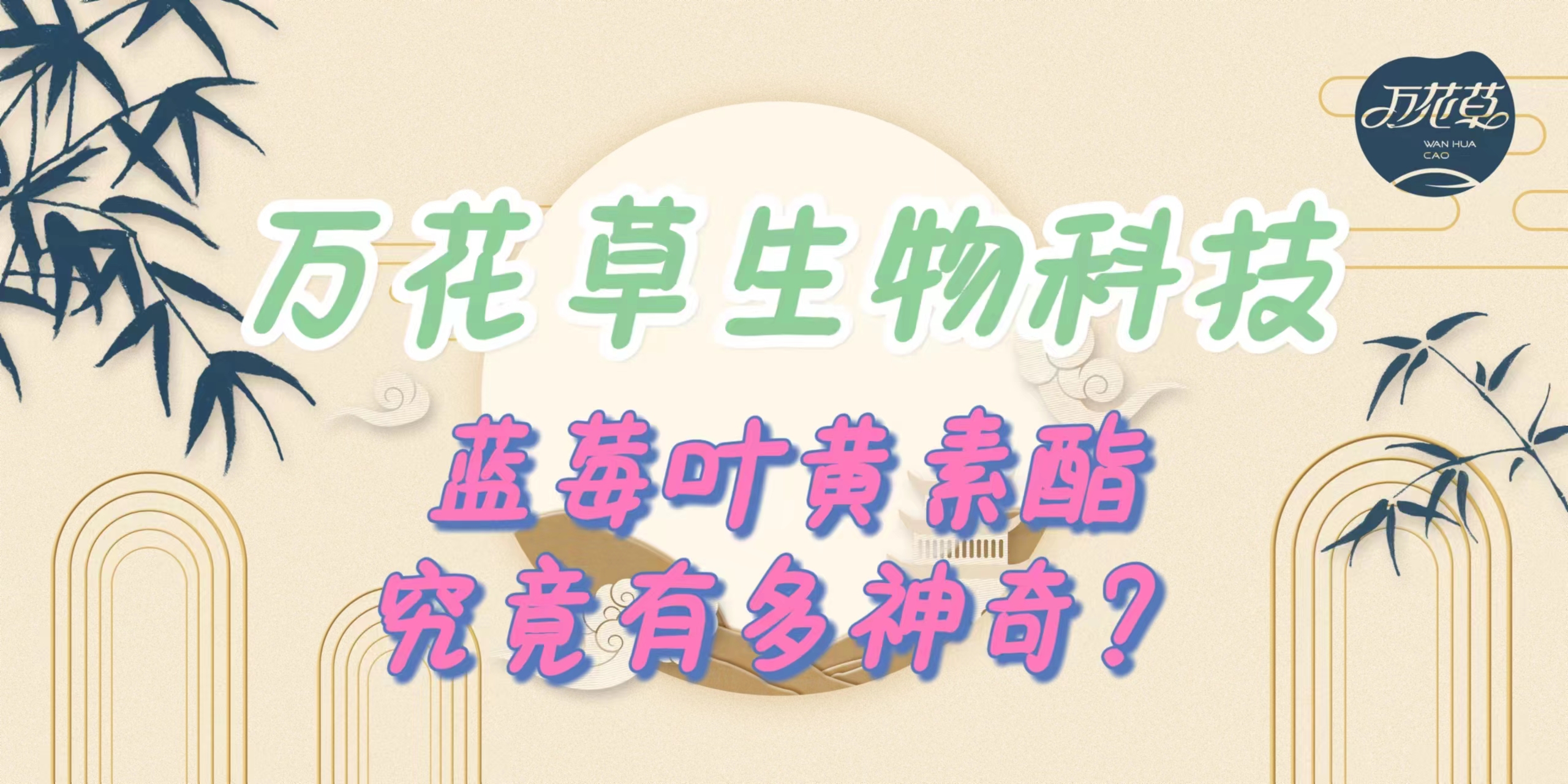 升級配方，重磅出擊，萬花草藍(lán)莓葉黃素酯究竟有多神奇？
