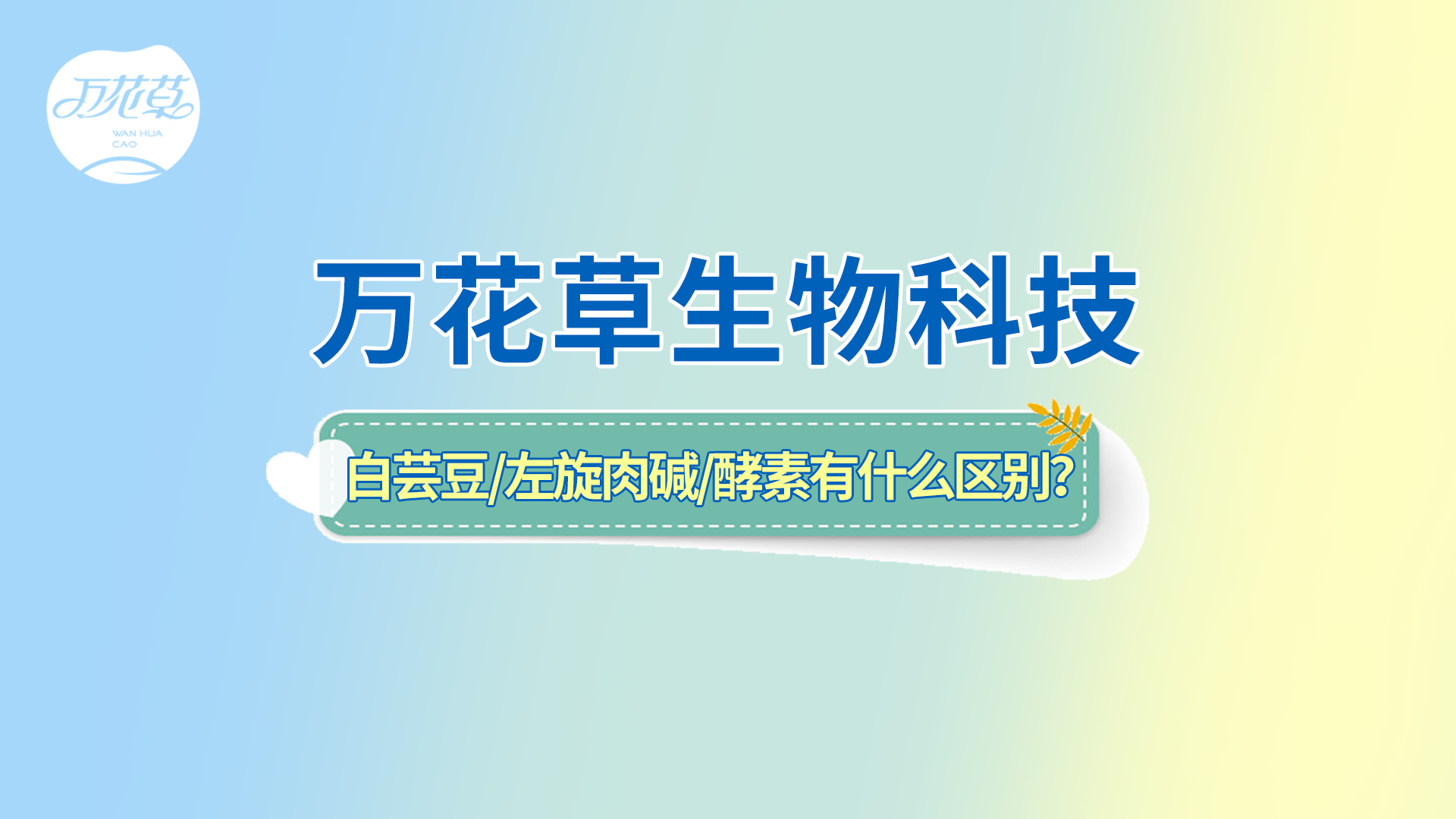 白蕓豆、左旋肉堿、嗨吃酵素有什么區(qū)別？